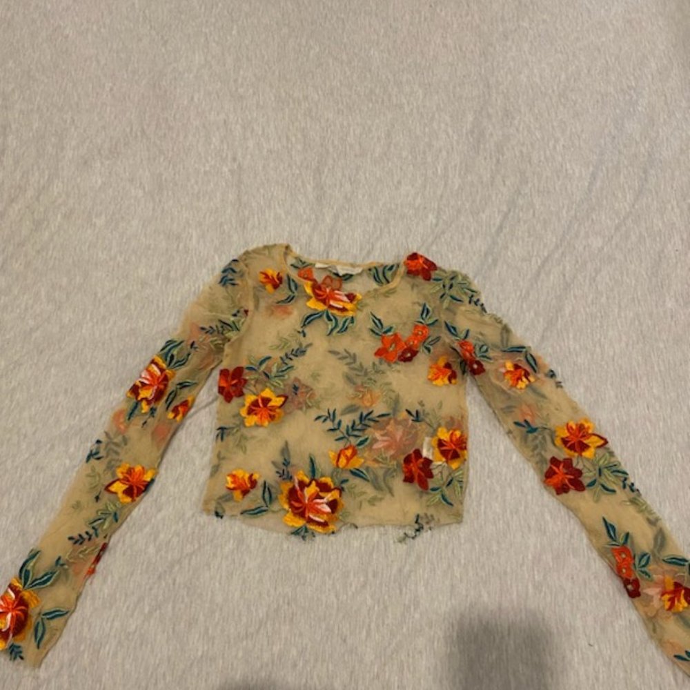 Urban Outfitters Sheer Embroidered Long Sleeve
